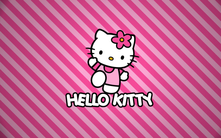 HD Wallpaper: Hello Kitty Desktop, Pink Color, Copy Space, Pink Background  Wallpaper Flare :443