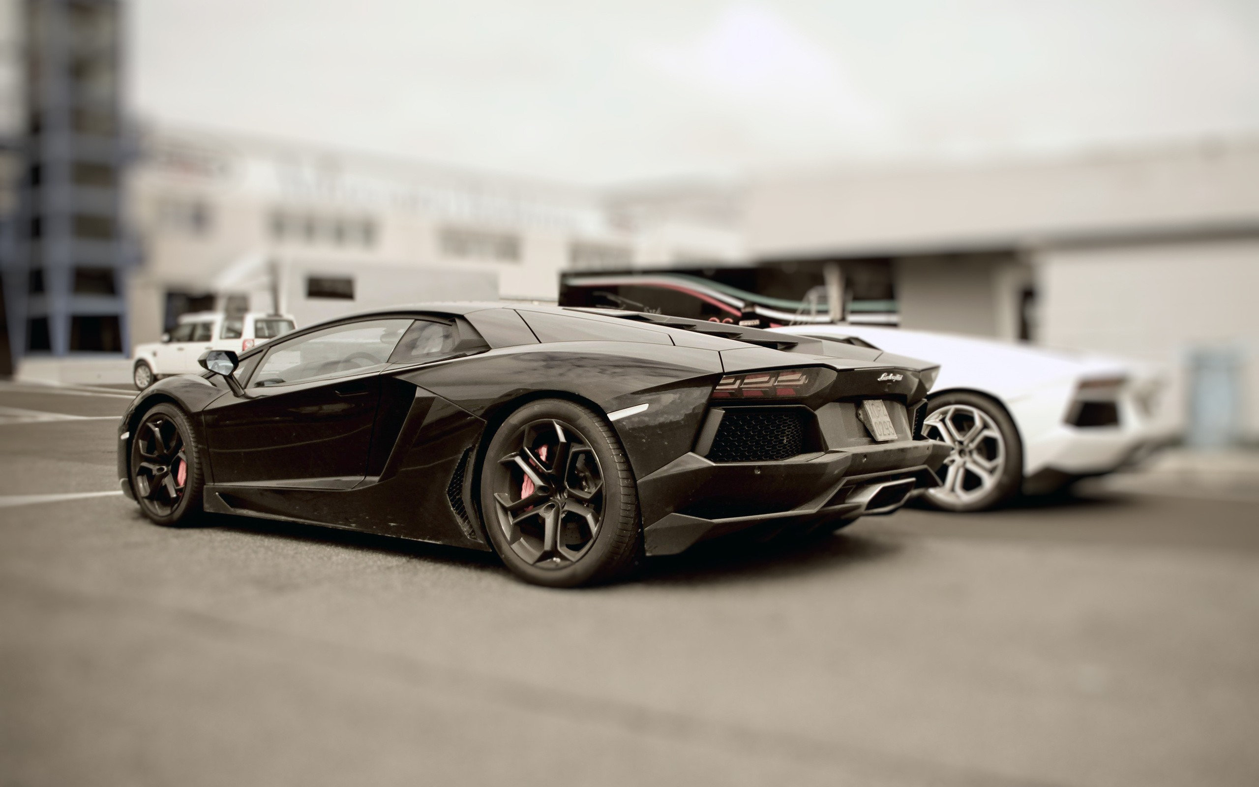 the, New, Lamborghini, Aventador Wallpaper