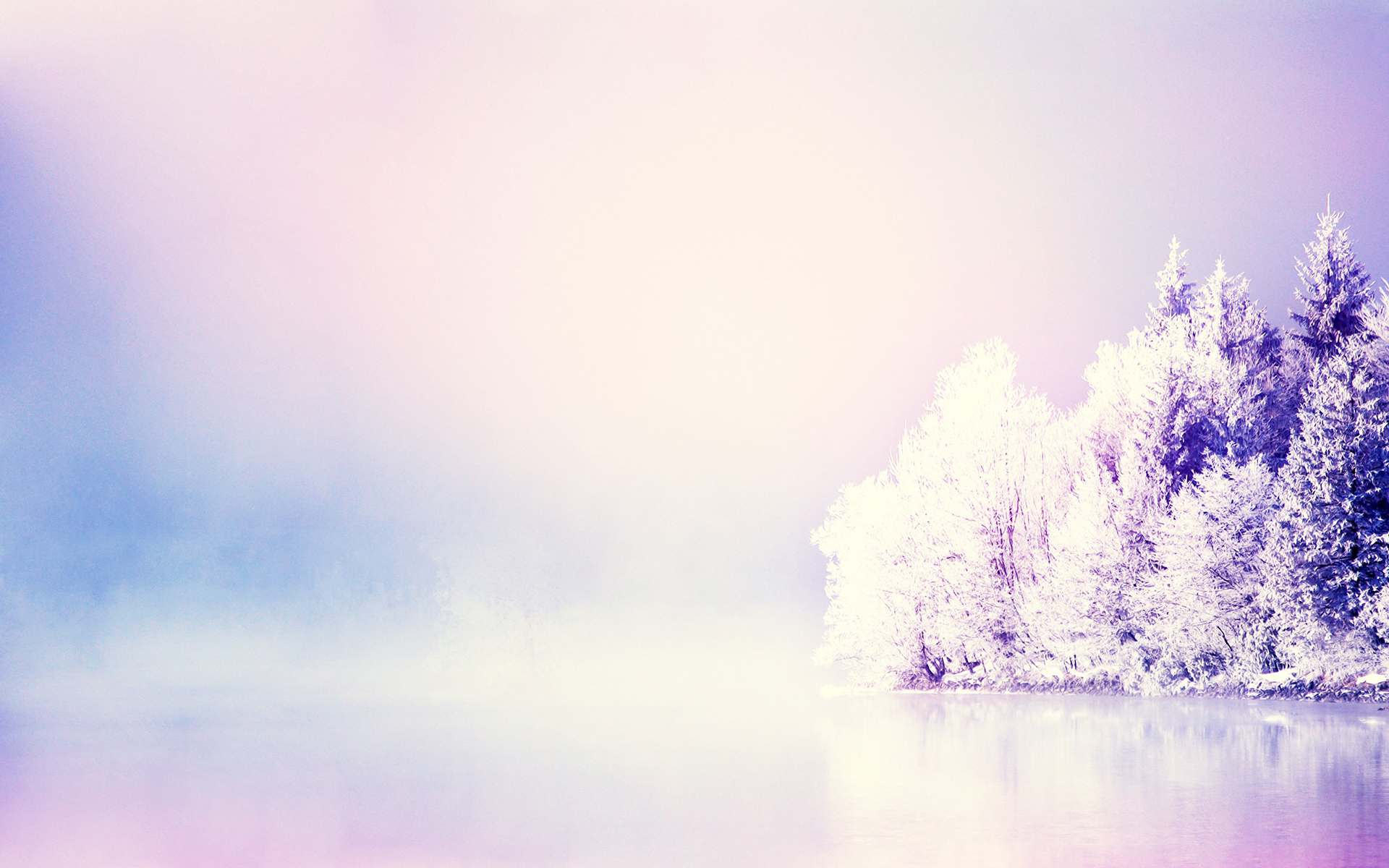 trees, Purple, Lake, Reflection, Bokeh Wallpaper