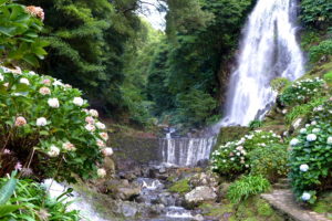 waterfalls, Portugal, Achadinha, Azores, Shrubs, Nature
