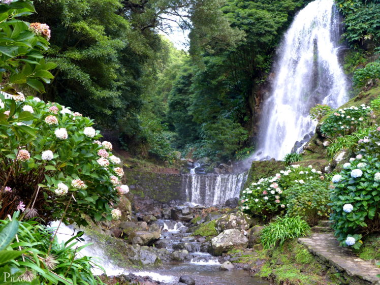 waterfalls, Portugal, Achadinha, Azores, Shrubs, Nature HD Wallpaper Desktop Background