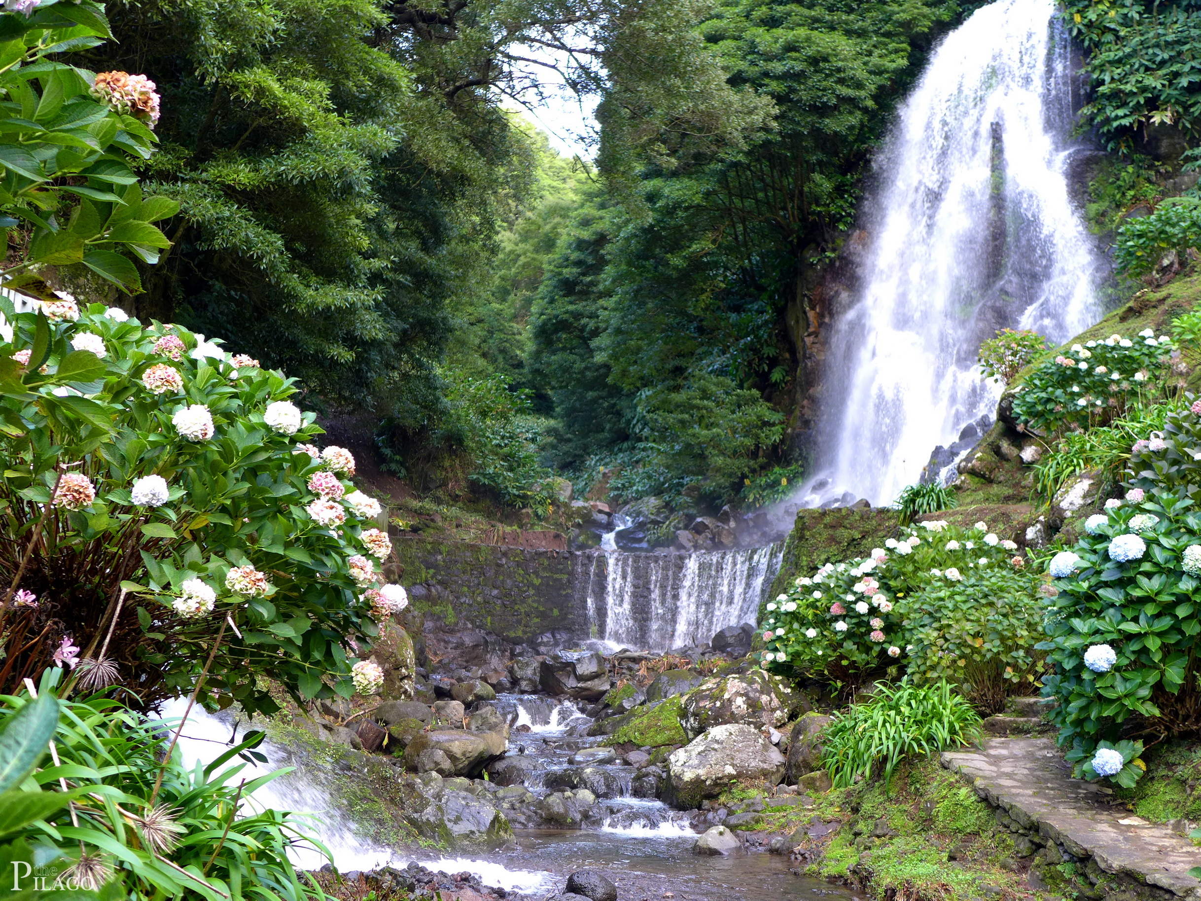 waterfalls, Portugal, Achadinha, Azores, Shrubs, Nature Wallpaper