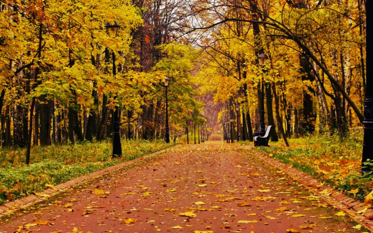 park, Forest, Alone, Bench, Bench, Mood, Autumn, Fall HD Wallpaper Desktop Background