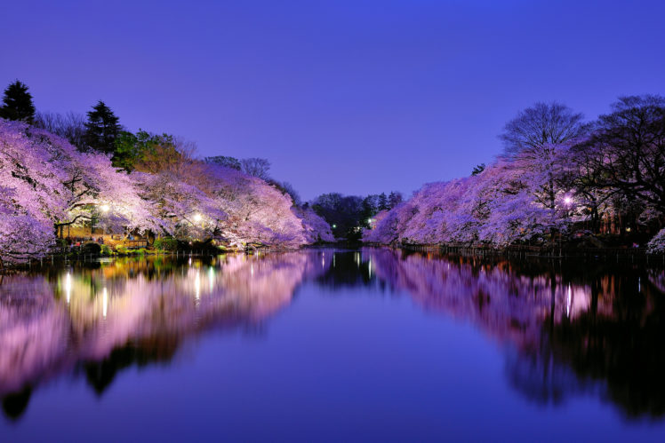 japan, Park, City, Osaka, Lake, Lights, Lighting, Reflection HD Wallpaper Desktop Background