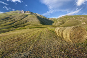 hay, Field, Hills