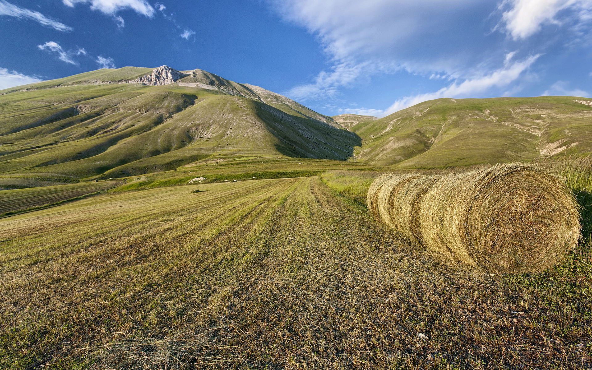 hay, Field, Hills Wallpaper