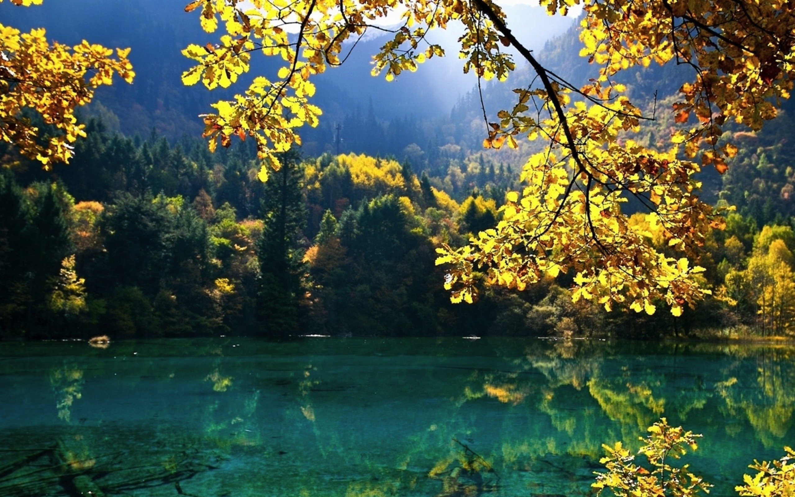 lake Wallpaper