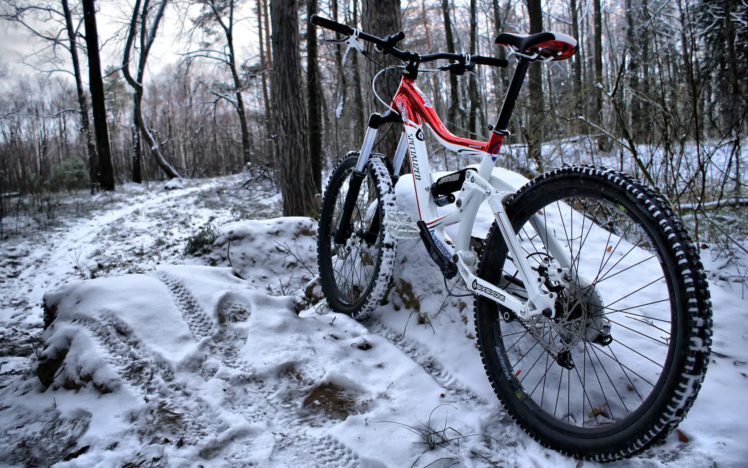bike, Woods, Snow HD Wallpaper Desktop Background
