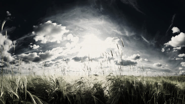 landscapes, Wheat, Artwork, Skyscapes HD Wallpaper Desktop Background