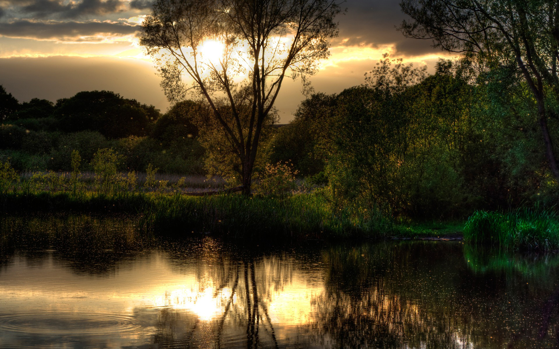 lake, In, Sunset Wallpaper