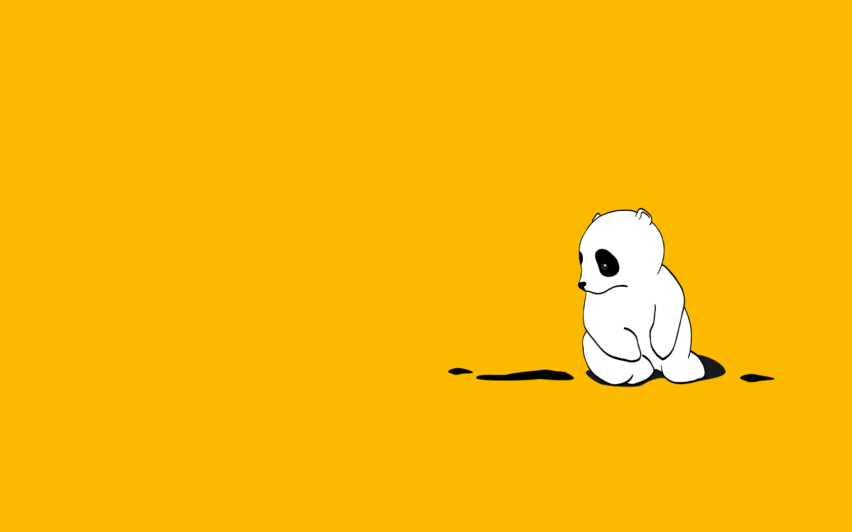 bear, Seem, Confused Wallpaper