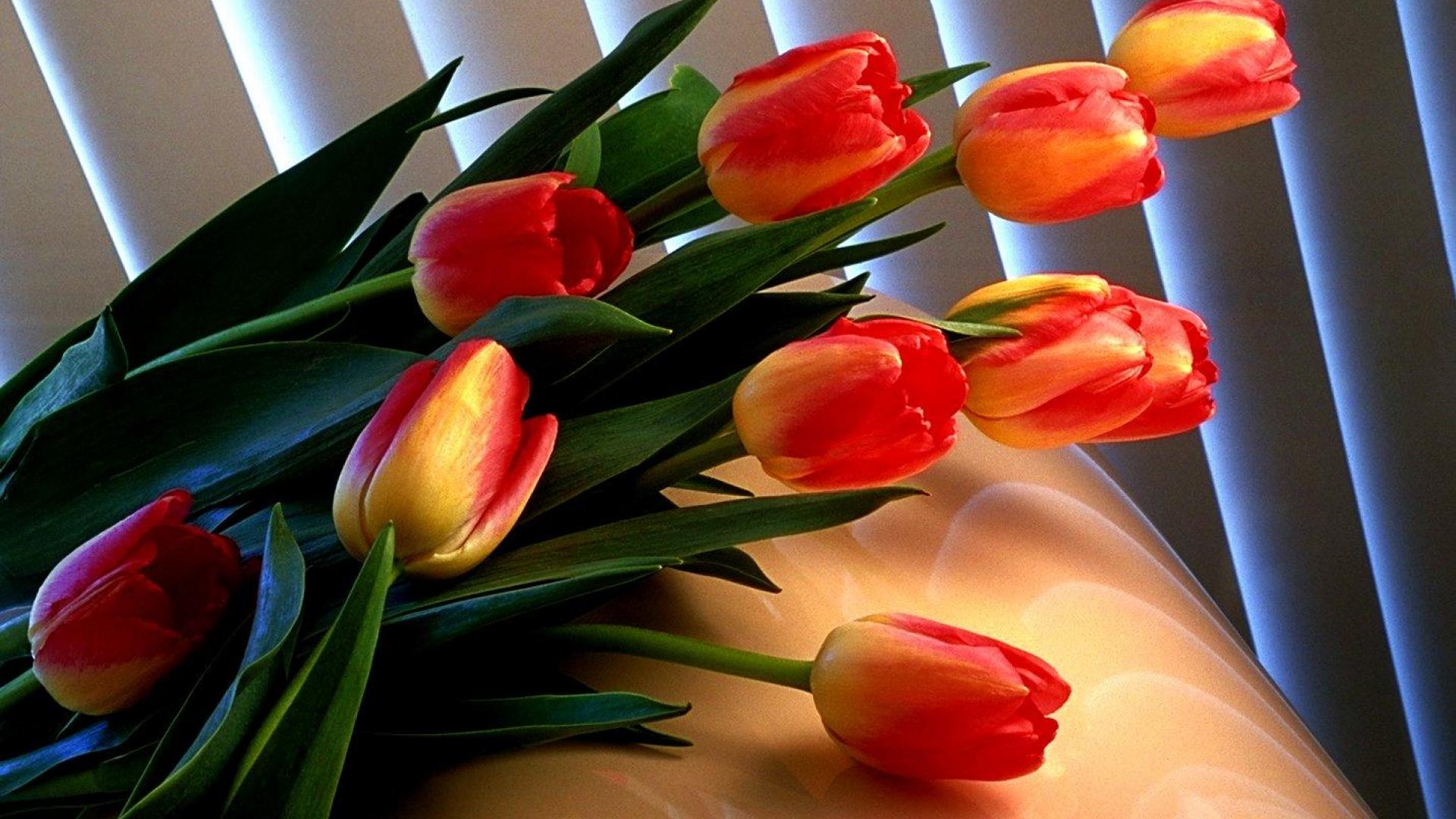 red, Tulips, Green, Flowers Wallpaper