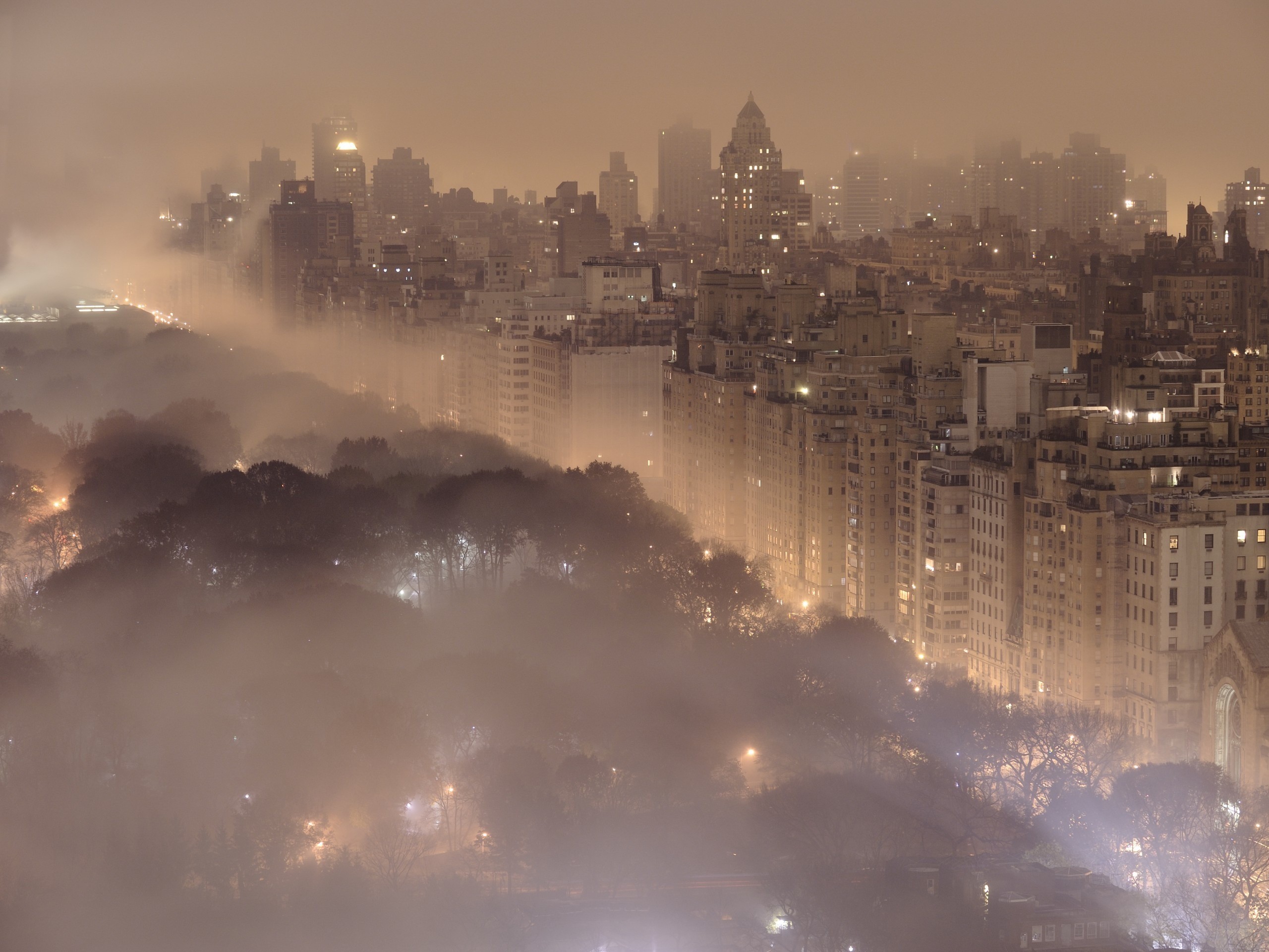 landscapes, Trees, Cityscapes, Forest, Fog, National, Geographic Wallpaper