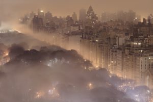 landscapes, Trees, Cityscapes, Forest, Fog, National, Geographic
