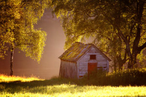 cabin, Shed, Trees, Grass