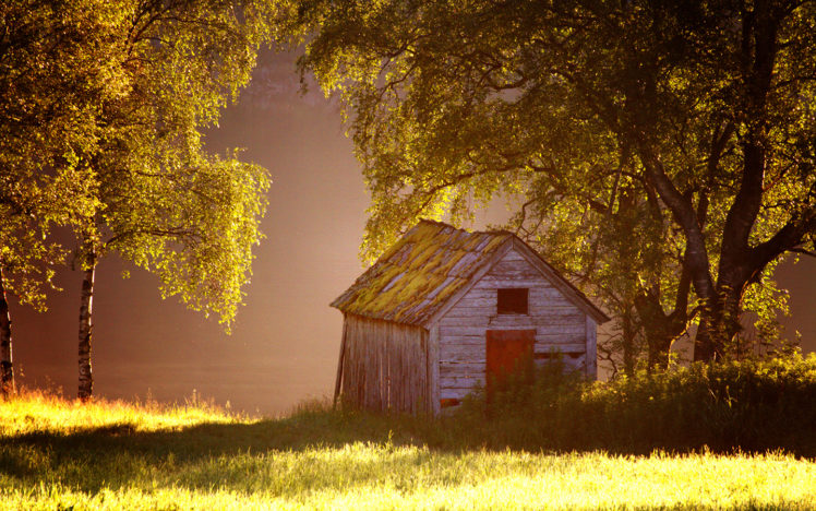 cabin, Shed, Trees, Grass HD Wallpaper Desktop Background