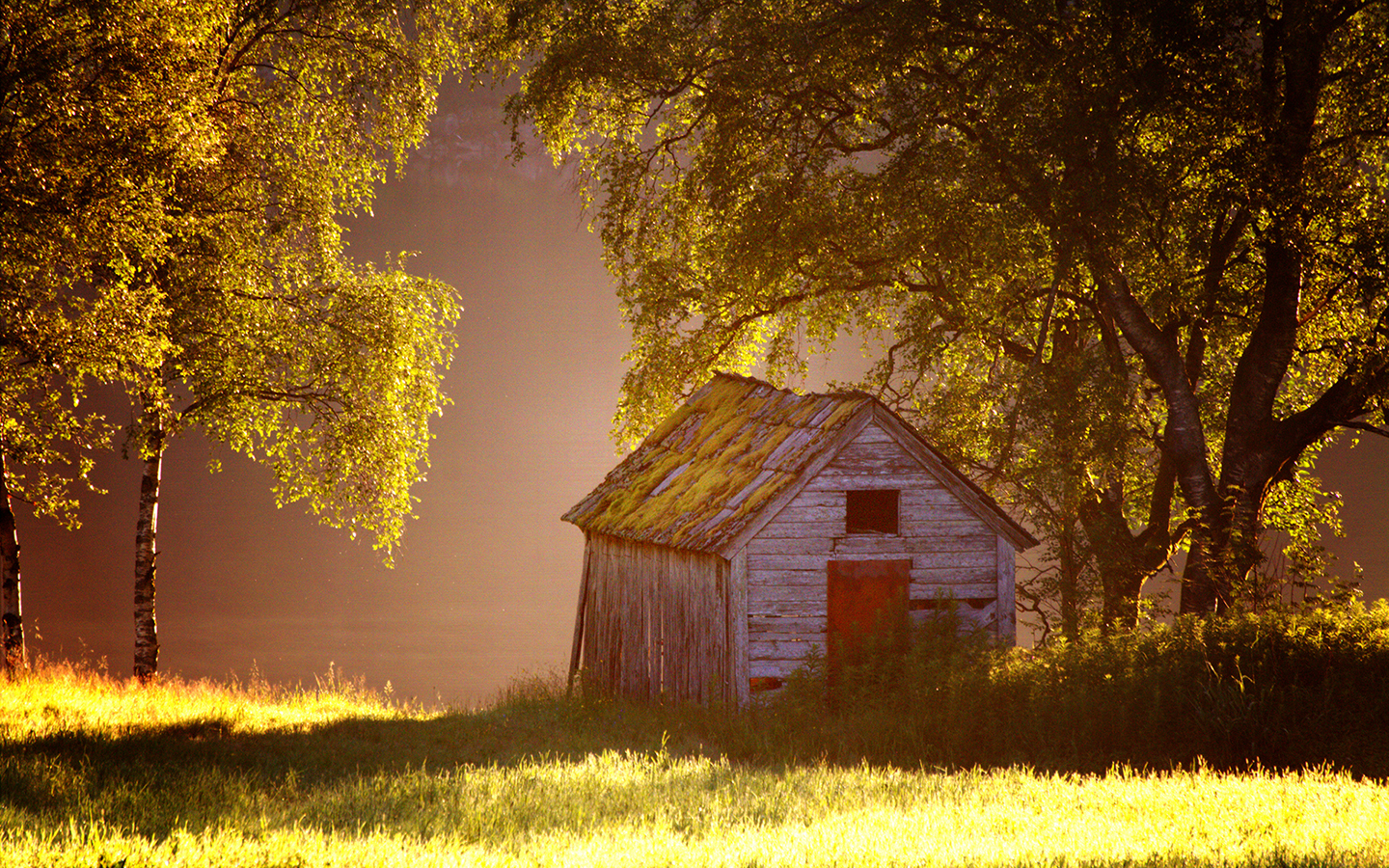 cabin, Shed, Trees, Grass Wallpaper