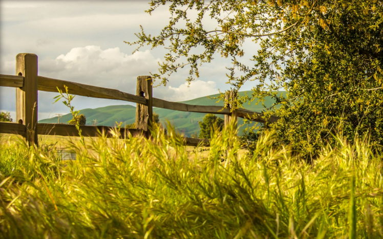 fence, Grass, Nature HD Wallpaper Desktop Background
