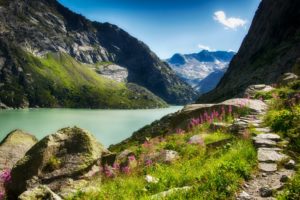 gorge, River, Mountains, Flowers, Sunny, Stones