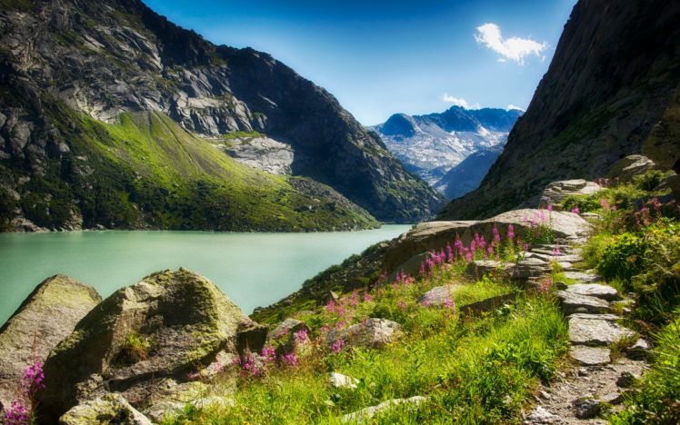 gorge, River, Mountains, Flowers, Sunny, Stones HD Wallpaper Desktop Background