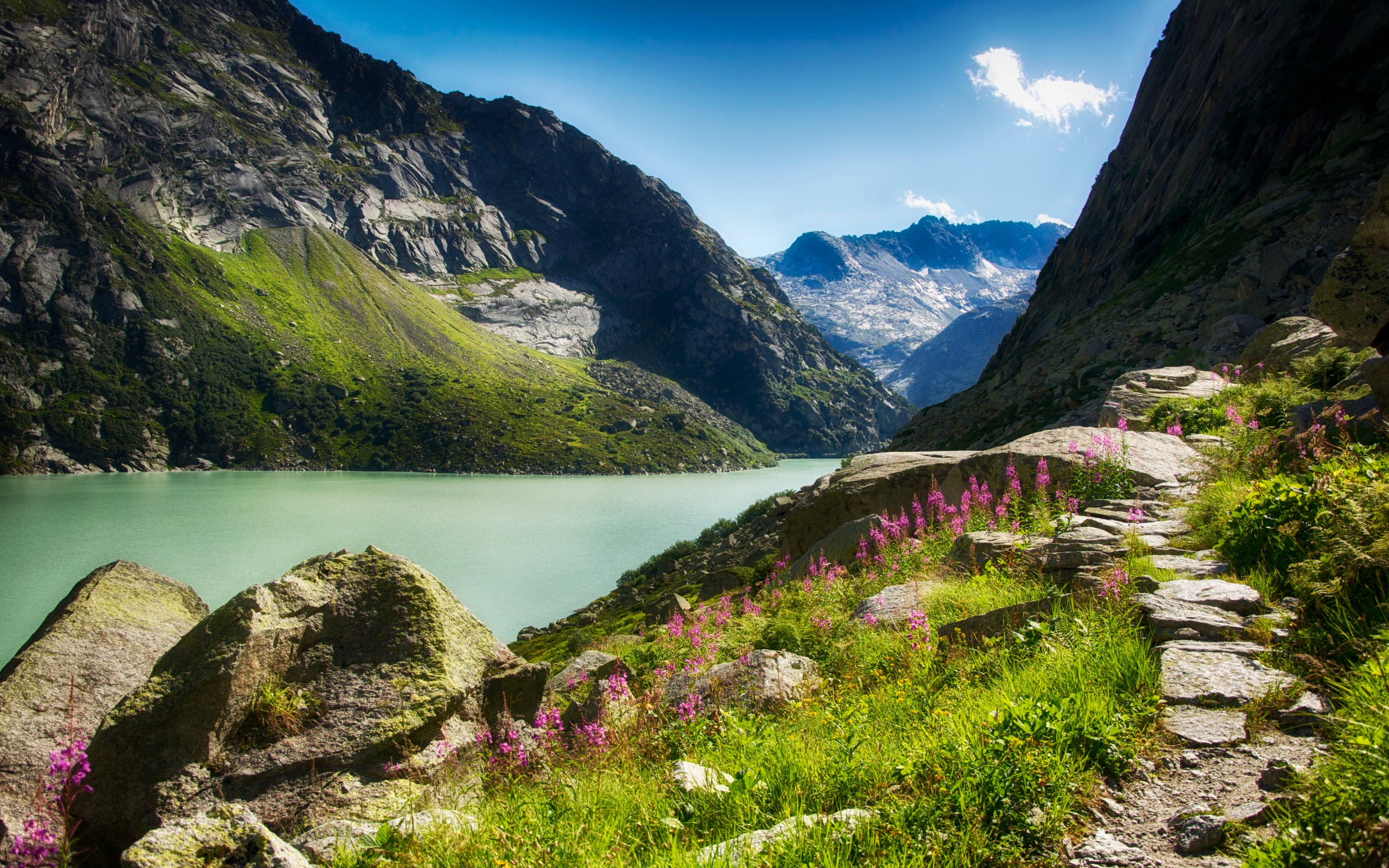 gorge, River, Mountains, Flowers, Sunny, Stones Wallpaper