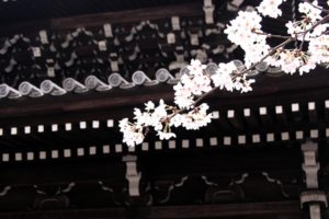 japan, Cherry, Blossoms, Flowers, Asian, Architecture, Roof