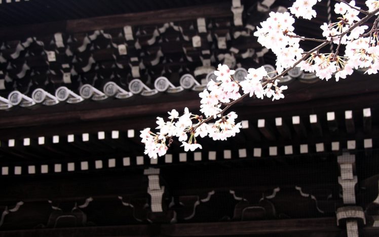 japan, Cherry, Blossoms, Flowers, Asian, Architecture, Roof HD Wallpaper Desktop Background