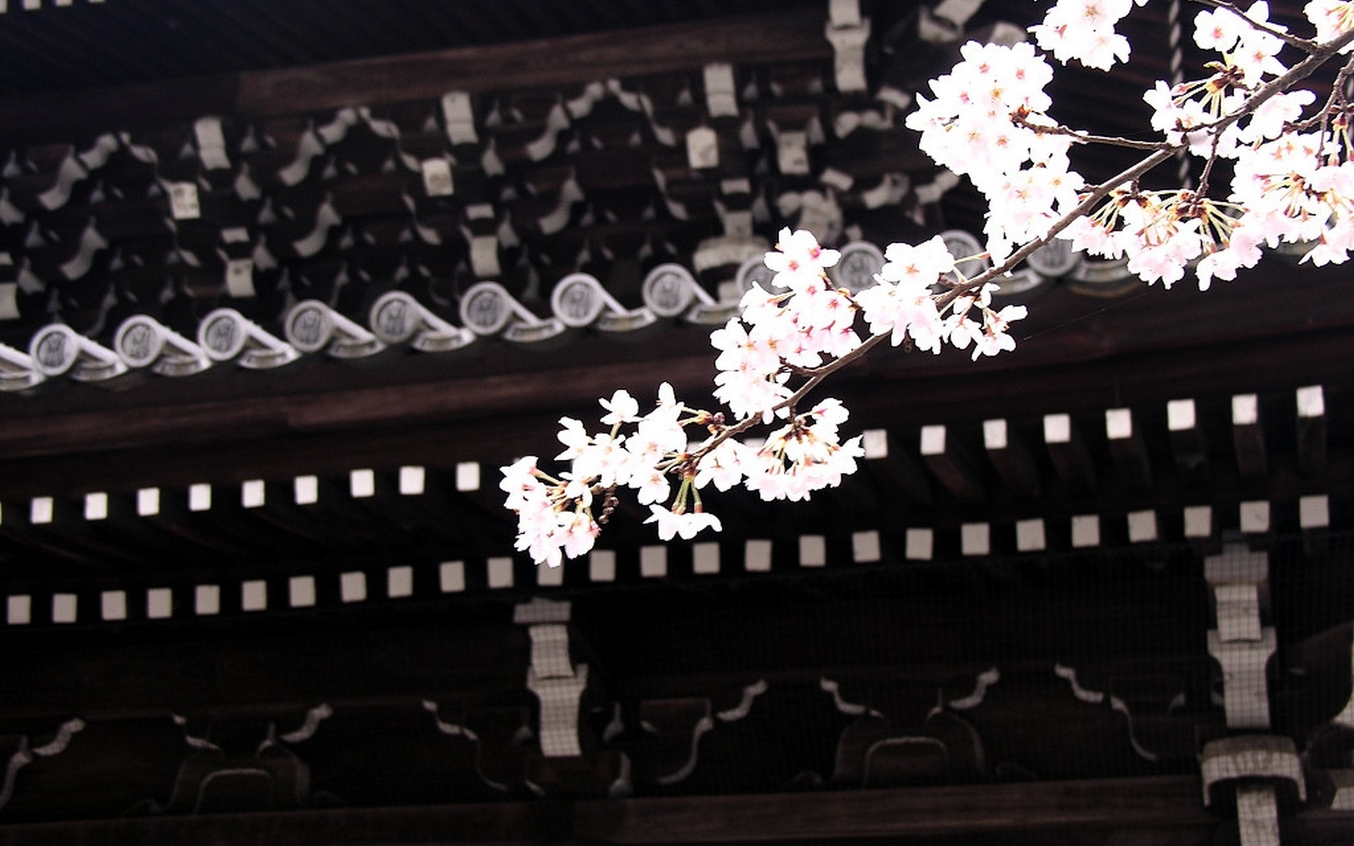 japan, Cherry, Blossoms, Flowers, Asian, Architecture, Roof Wallpaper