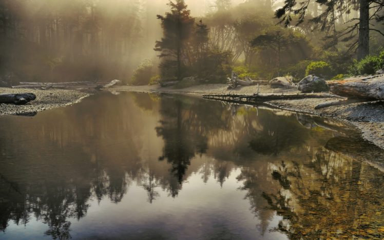 landscapes, Trees, Fog, Lakes HD Wallpaper Desktop Background