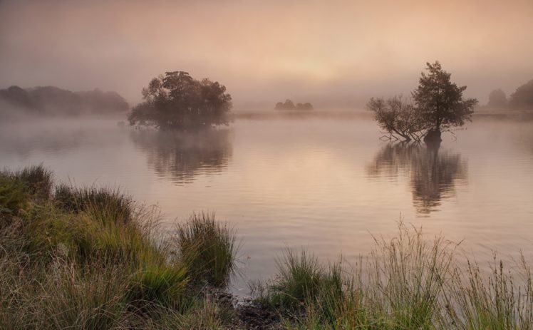 morning, Mist, Lake, Trees, Beach, Grass HD Wallpaper Desktop Background