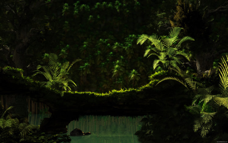 green, Jungle, Dreams, Moss HD Wallpaper Desktop Background