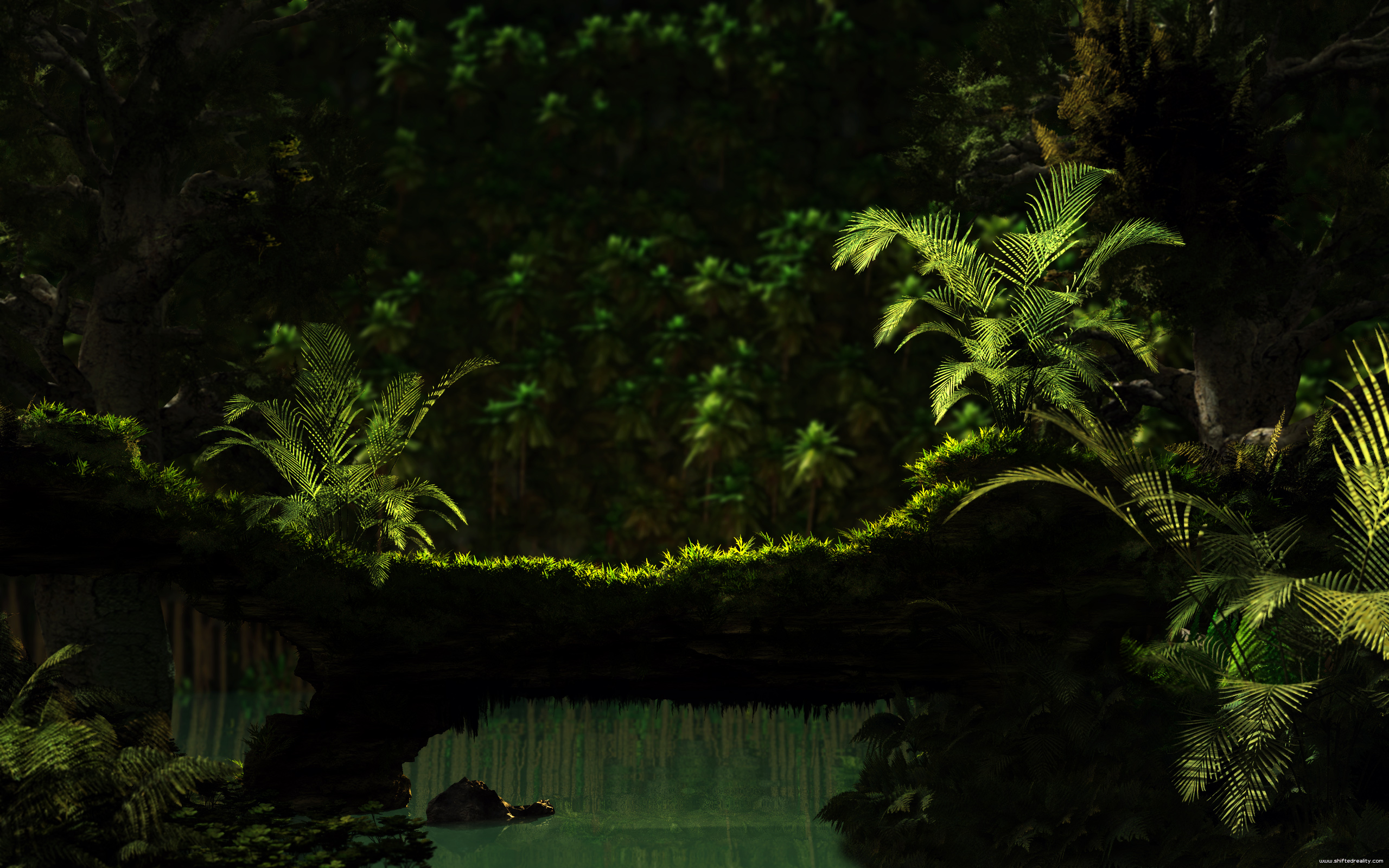 green, Jungle, Dreams, Moss Wallpaper