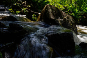 river, Rocks, Stones, Forest, Jungle