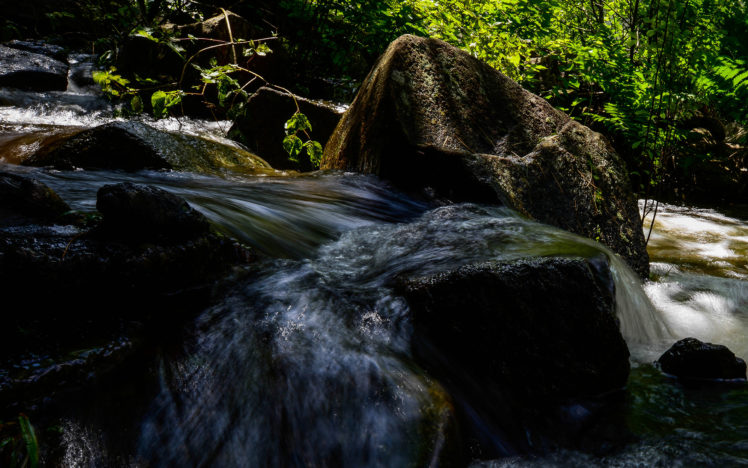 river, Rocks, Stones, Forest, Jungle HD Wallpaper Desktop Background
