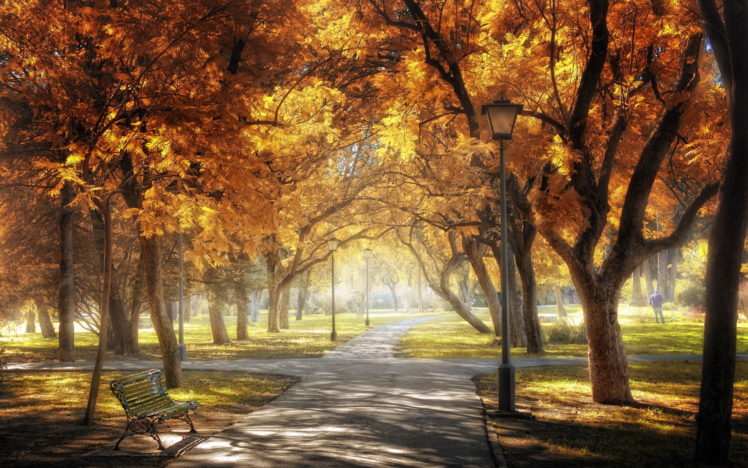 sevilla, Golden, Central, Park, Autumn HD Wallpaper Desktop Background