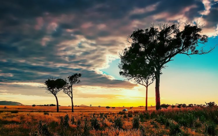 sunset, Trees, Landscape, Sky HD Wallpaper Desktop Background