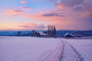 winter, Snow, Village, Dawn, Farm, Sunrise