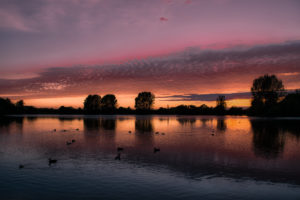 lake, Great, Britain, England, Birds, Bird, Sunset, Reflection
