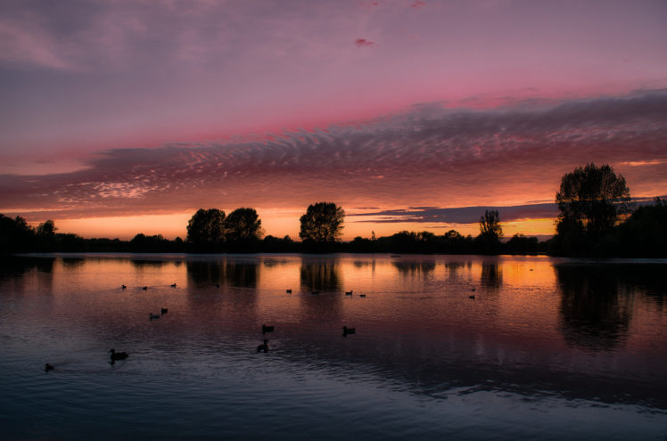 lake, Great, Britain, England, Birds, Bird, Sunset, Reflection HD Wallpaper Desktop Background