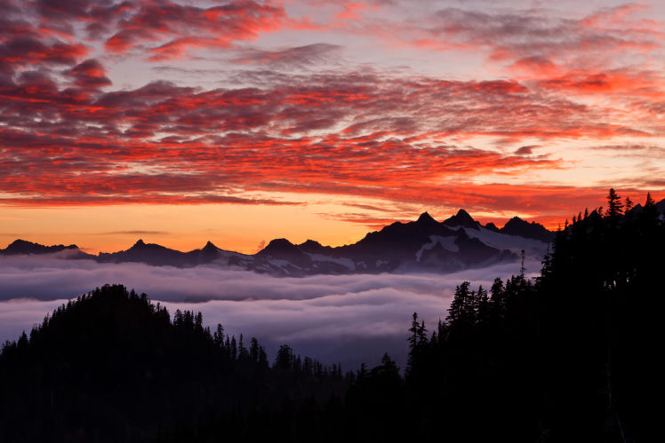mountain, Forest, Sky, Fog, Clouds, Sky, Sunset HD Wallpaper Desktop Background