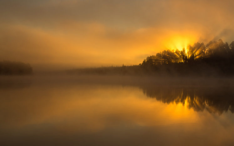 lake, Fog, Forest, Sun, Glow, River, Reflection, Sunrise, Fog, Mood HD Wallpaper Desktop Background