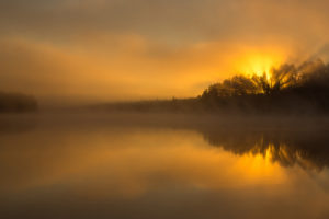 lake, Fog, Forest, Sun, Glow, River, Reflection, Sunrise, Fog, Mood