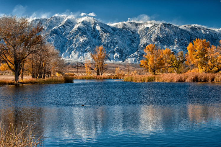 mountain, Lake, Autumn, Trees, Cane HD Wallpaper Desktop Background