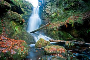 scotland, Waterfall, Rocks, Leaves, Logs