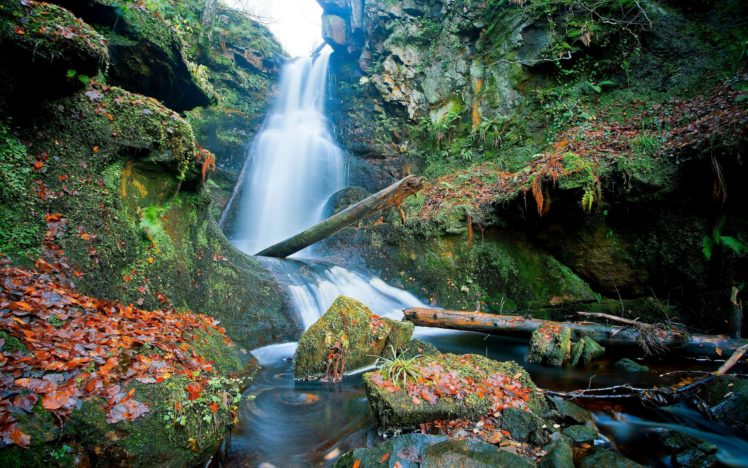 scotland, Waterfall, Rocks, Leaves, Logs HD Wallpaper Desktop Background