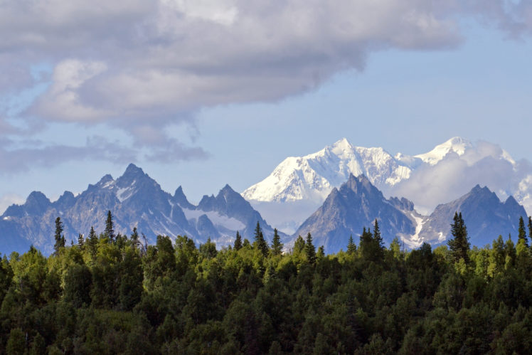 forest, Mountains, Snow, Ridge, Clouds HD Wallpaper Desktop Background