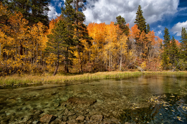 lake, Fall, Forest, Trees, Autumn HD Wallpaper Desktop Background