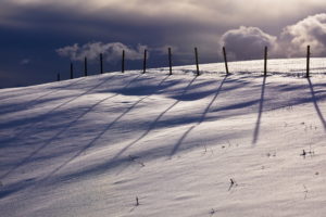 winter, Fence, Nature, Landscape