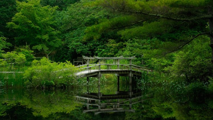lake, Forest, Bridge, Nature, Garden, Reflection HD Wallpaper Desktop Background