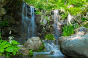 river, Waterfall, Rocks, Plants, Trees, Nature
